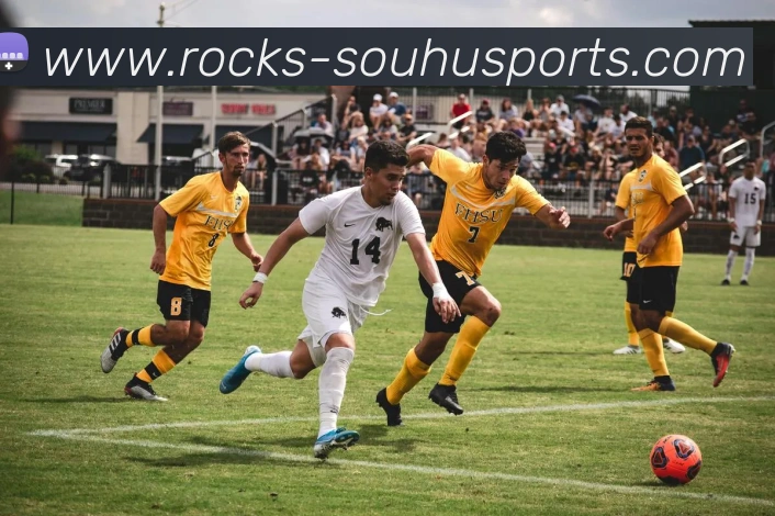 搜狐体育网页版发展历程